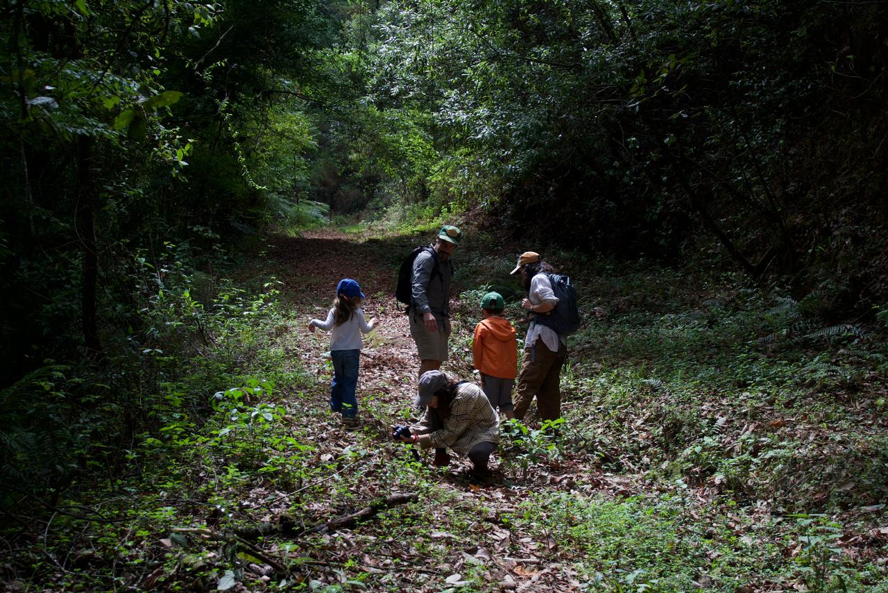 Explora la tierra de Valle de Bravo con Viajes Bravo: recolecta minerales auténticos y vive la gemología desde su origen